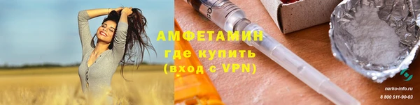 ГАЛЛЮЦИНОГЕННЫЕ ГРИБЫ Белокуриха